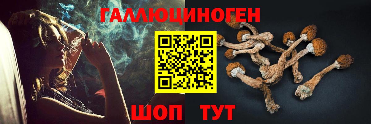 Тихорецк  Псилоцибиновые грибы мицелий  Вход с VPN 